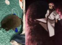 https://images.plurk.com/vEzrnoPh9rR9iyWOnOVog.png