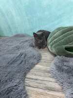 https://images.plurk.com/vMFsJdMCQjDhnufbAmMhB.jpg