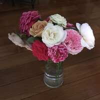 https://images.plurk.com/vNp290Hxs2B5v1inEPQdq.jpg