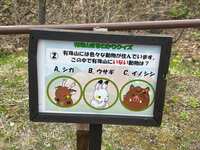 https://images.plurk.com/vNtnZP2f89T4TDde6Ruwv.jpg