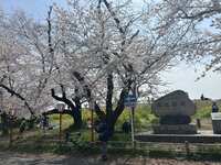 https://images.plurk.com/vTx7YQ3D9XDTXJXdTQ0pF.jpg