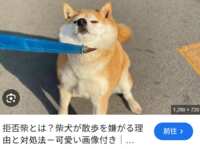 https://images.plurk.com/vYJpKLo4n1OOyUNi6UE0L.png
