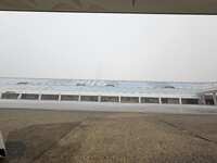 https://images.plurk.com/vbL6eUHVTMYpkeFtMv7sC.jpg