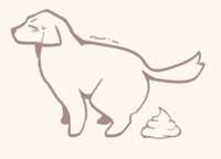https://images.plurk.com/vnDauy4uqoOZlhOdxHYhs.png