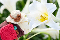 https://images.plurk.com/vru35mNA3iDTDFac7VNLm.jpg