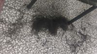 https://images.plurk.com/w4GLZrprqiZiCeTQjqW9.jpg