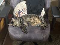 https://images.plurk.com/w7OdTitly9z2O53SlzJ91.jpg