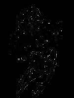 https://images.plurk.com/w9VOBdrxgWYQK0sNlkbE3.png