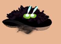 https://images.plurk.com/wCvMK8w5pRaavlfUTRZE5.png