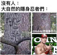 https://images.plurk.com/wD1KI0HVuSJ0brIpQg5Qd.jpg