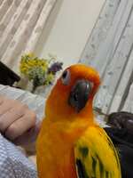 https://images.plurk.com/wG37nsF8lU2mhHfqbLUL9.jpg