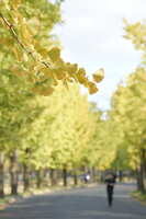 https://images.plurk.com/wGkXVwCqa4qNFYgt9tp5W.jpg