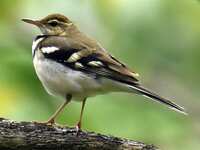https://images.plurk.com/wQQ1b9pK5YtYSSaxCo9BH.jpg