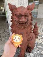 https://images.plurk.com/wSlMtQSwXTtaJdI7pjqso.jpg