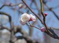 https://images.plurk.com/wTG9QW3se5uUHbbtkrb2C.jpg