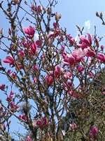 https://images.plurk.com/wUXMbcgHFvS03V7jjH7sG.jpg