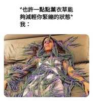 https://images.plurk.com/wX5GujOt3pH9a7flcIQkN.jpg