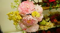 https://images.plurk.com/wjuaiWAXqa9seDHG76eo8.jpg