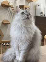 https://images.plurk.com/wlY9ffQvAZeRg5iugszZP.jpg