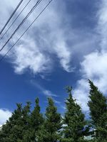 https://images.plurk.com/wxnFOyBlP8wo6t0lP5Tzc.jpg