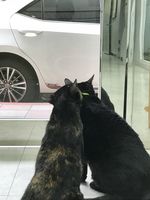 https://images.plurk.com/wz9IJD3kLWPK1wmcIigy.jpg