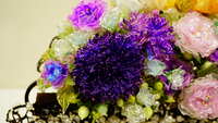 https://images.plurk.com/x0ZjgiYrT3EGSpUSDul2g.jpg