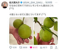 https://images.plurk.com/x4yphfWqxoYrSypvjFSqf.jpg