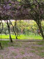 https://images.plurk.com/x66GI6MwBLQgwfM68Uctt.jpg