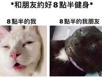 https://images.plurk.com/xCa7H8gvSJRJKRc7FLVRZ.jpg
