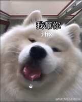 https://images.plurk.com/xEK64SbUu6jwFxIFrSqGD.jpg