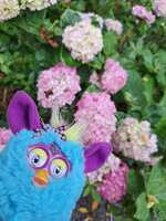 https://images.plurk.com/xYBXIqVIDTvnsxf2wfgFY.jpg