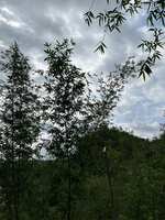 https://images.plurk.com/xdNdyl02pazUL8CgpGJCp.jpg