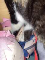 https://images.plurk.com/xfkrAFYtX3HcR17SdB2xh.png