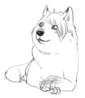 https://images.plurk.com/xfyyGixcTNWRMi01ZdLzb.png