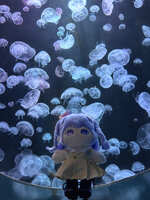 https://images.plurk.com/xvNjSOu5qpAi05SLLxKGN.jpg