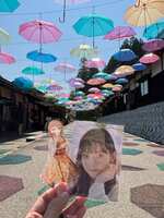 https://images.plurk.com/y2HpW9nVjlKItP7jTXDR6.jpg