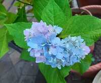 https://images.plurk.com/y9kZoM4YlS6EcCXFyX6tR.jpg