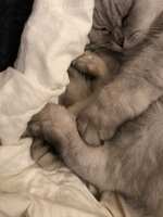 https://images.plurk.com/yErBNIAQORCIozFlK8T68.jpg