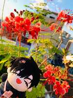 https://images.plurk.com/yG4SwpneGQJTCH8a4JKCk.jpg
