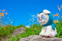 https://images.plurk.com/yGRDr4qrZq1j6NX253LRY.jpg