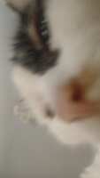 https://images.plurk.com/yI2pGYqg3ZAuFIS3An7H4.jpg