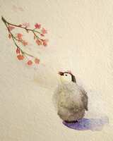 https://images.plurk.com/yP5BEvVp5XqGN0q8tFhEB.jpg