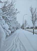 https://images.plurk.com/ySssMRtSiJXNq3TQNX6nx.jpg