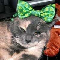 https://images.plurk.com/yXAYRifHDuUAiZp3AmY75.jpg
