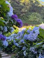 https://images.plurk.com/yhyn86WtFA9dYxt0p8PkN.jpg