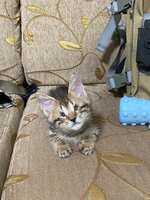 https://images.plurk.com/yjqrCck5u1TGfNNDldDmL.jpg