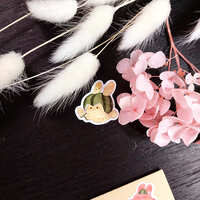 https://images.plurk.com/yxVkq8EhlkBQIMZPIPMle.jpg