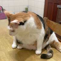 https://images.plurk.com/zGGBM31rH2DmiePp1ofOT.jpg