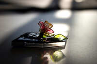 https://images.plurk.com/zK9BT2G0pMwsaXfgY03EV.jpg