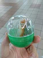 https://images.plurk.com/zRrvtTX1ThoDIUIMV7g1d.jpg